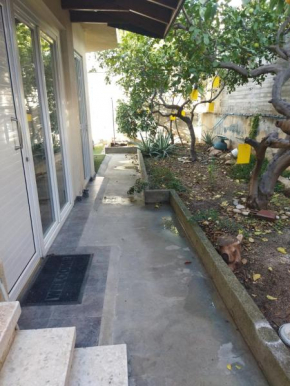 Lemon trees house